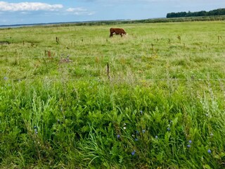 Casa de vacaciones Præstø  9
