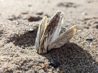 Casa per le vacanze Handbjerg  32