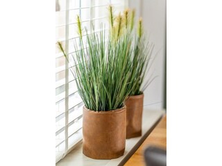 Holiday house Hollum  36