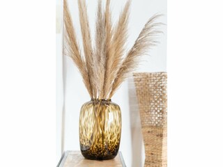 Casa de vacaciones Hollum  32