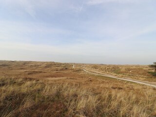 Vakantiehuis Hollum Omgeving 22