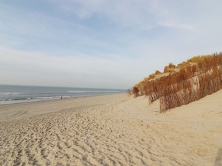 Ferienhaus Hollum Umgebung 16