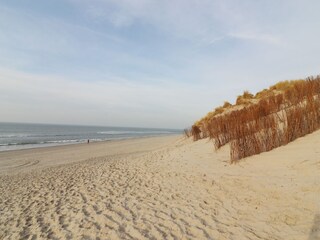 Vakantiehuis Hollum Omgeving 19