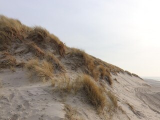 Vakantiehuis Hollum Omgeving 15