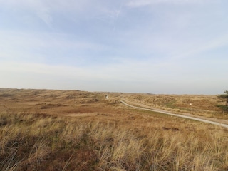 Ferienhaus Hollum Umgebung 14