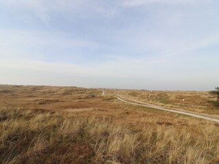 Vakantiehuis Hollum Omgeving 16