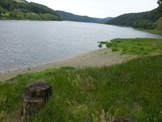 Schwimmen am Edersee