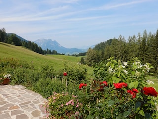 Chalet Bad Aussee Buitenaudio-opname 2