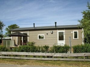 Beau chalet à Hollum avec sauna, terrasse et jardin - Hollum - image1