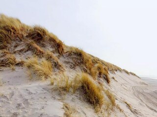 Chalet Hollum Ambiente 23