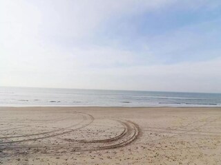 Chalet Hollum Environnement 27