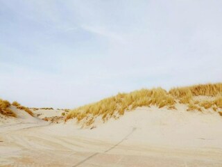 Chalet Hollum Omgeving 19