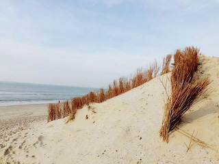 Chalet Hollum Umgebung 22