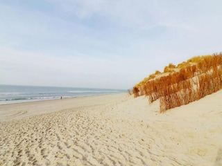 Chalet Hollum Umgebung 23