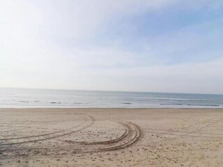 Chalet Hollum Environnement 19