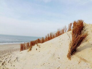 Chalet Hollum Umgebung 22