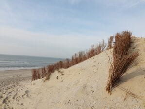 Charmantes Dünenchalet zwischen Golfplatz und Strand in Hollum - Hollum - image1