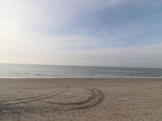 Chalet Hollum Environnement 20