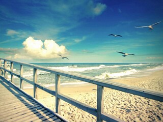 Parque de vacaciones Sarbinowo Entorno 26