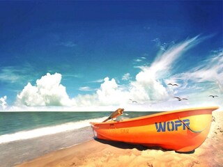 Ferienpark Sarbinowo Umgebung 11