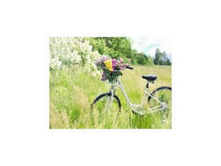 Vakantiepark Sarbinowo Omgeving 34