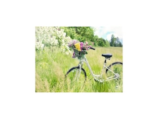 Vakantiepark Sarbinowo Omgeving 23