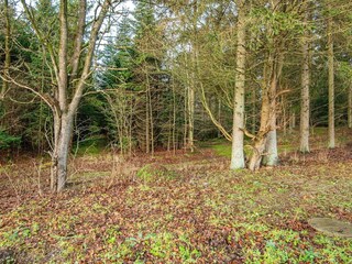 Holiday house Vivild  2