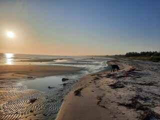 Ferienhaus Vivild  21
