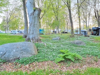 Ferienhaus Hörvik  10