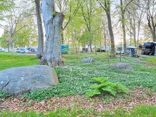 Vakantiehuis Hörvik  20