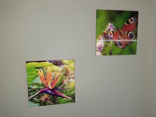 Appartamento Neuss Caratteristiche 16