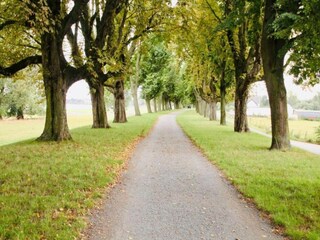 Apartment Neuss Environment 33