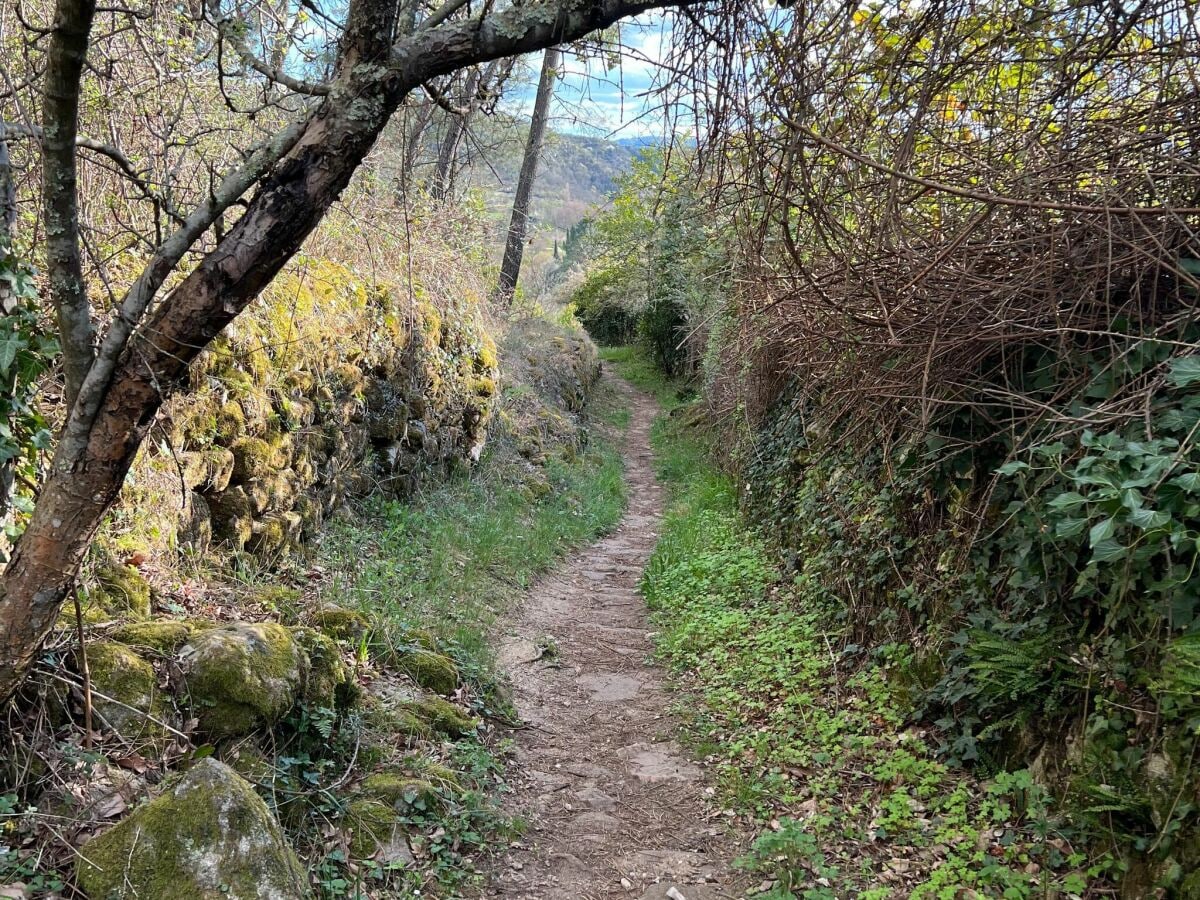 Ferienhaus Payzac (Ardèche) Umgebung 39