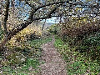 Ferienhaus Payzac (Ardèche) Umgebung 36