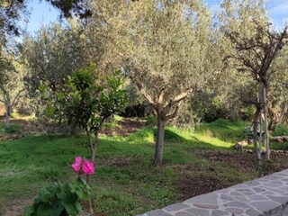 Casa per le vacanze Orosei Registrazione all'aperto 5