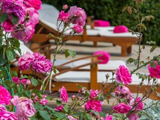 Villa Nova Vas Registrazione all'aperto 15