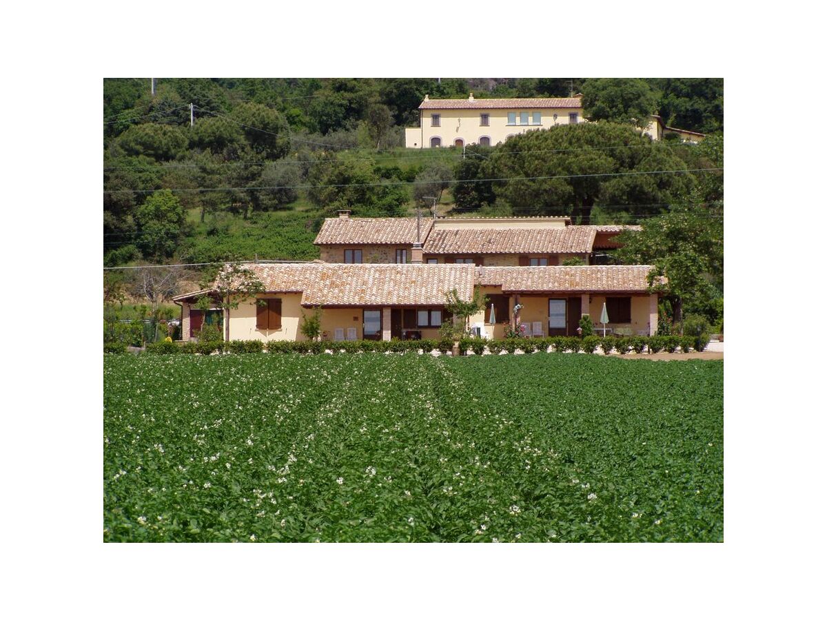 Bauernhof Bolsena Außenaufnahme 1