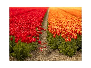 Villa Julianadorp Ambiente 36