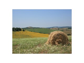 Casa per le vacanze Montopoli in Val d'Arno Ambiente 24