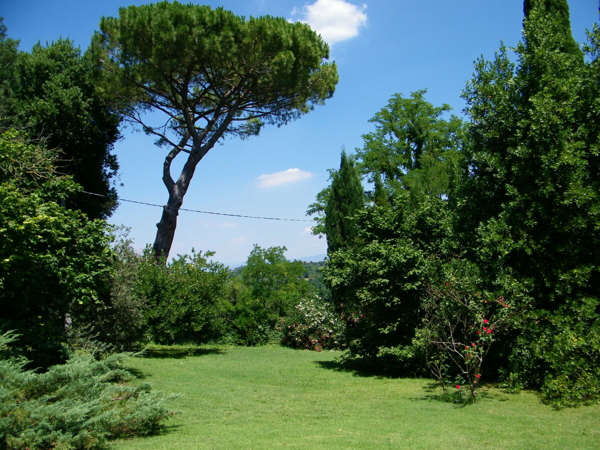 Podere la Pergola