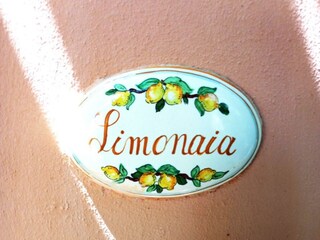 Appartamento Palaia Caratteristiche 16