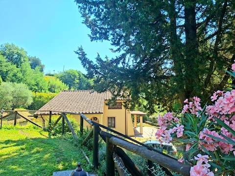 Ferienhaus Casa Girasole - Toskana pur!