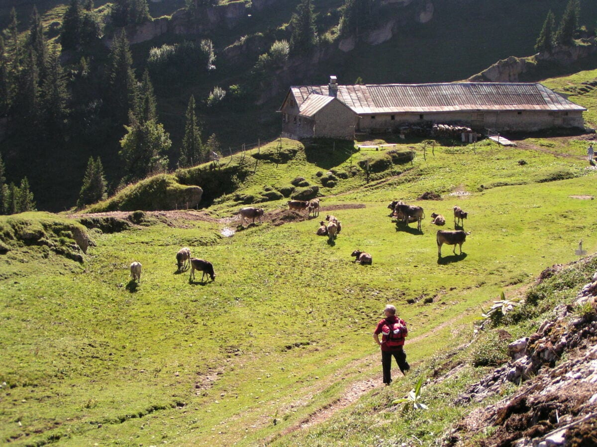 Zahlreiche Wanderwege