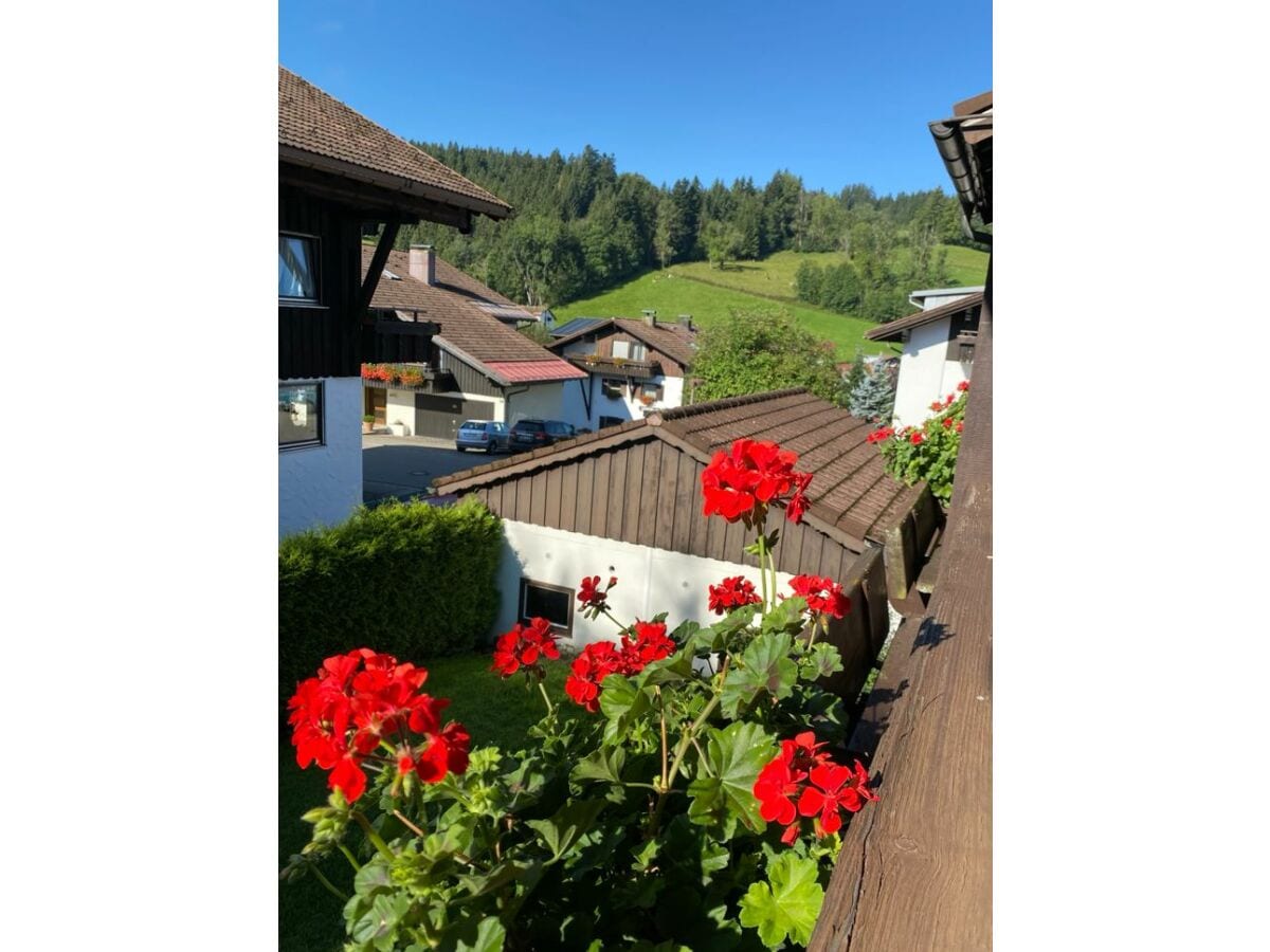 Aussicht vom Balkon Südseite