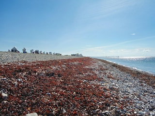 Holiday house Bojendorf Environment 34