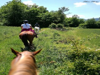 Bauernhof Monte Santa Maria Tiberina Umgebung 39