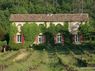 Apartment directly on the vineyard