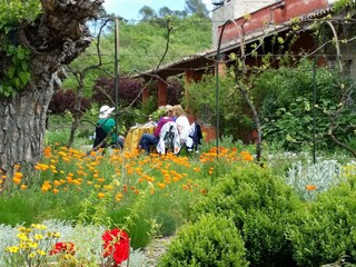 In the flower garden