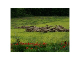 Casa per le vacanze Bras Registrazione all'aperto 17