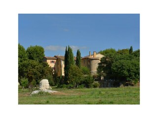 A view at the winery